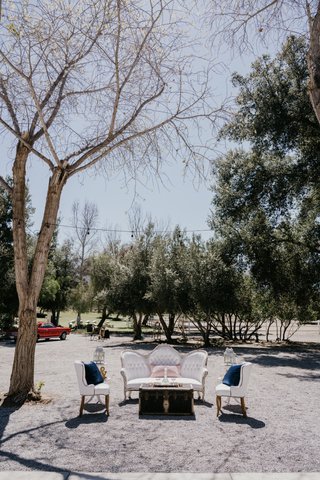 Lemon Blossom Photography