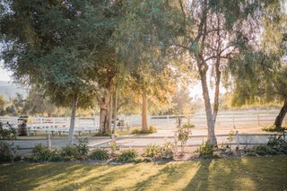 Heather Guzel Photography