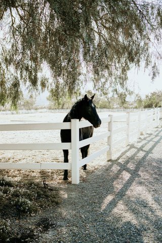 Pages Studio Photography