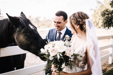 Dearly Beloved Photography