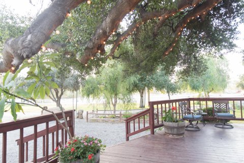 Heather Guzel Photography