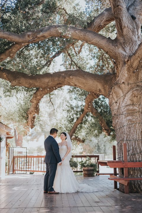 Heather Guzel Photography