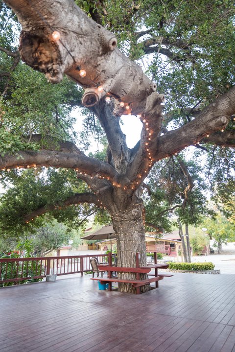 Heather Guzel Photography