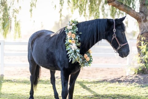 Heather Guzel Photography