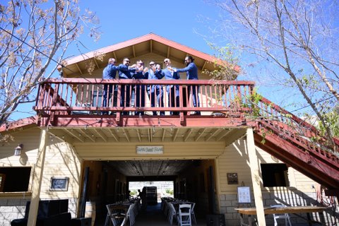 Lemon Blossom Photography