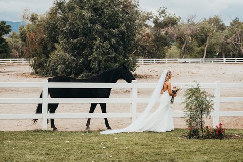 Ashleigh Long Photography