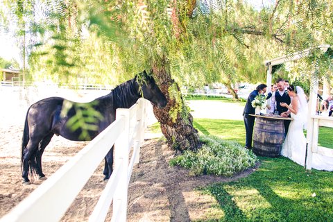 Leniel V. Photography